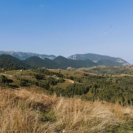 Zen Nest Tiny House 캠프장 Şirnea